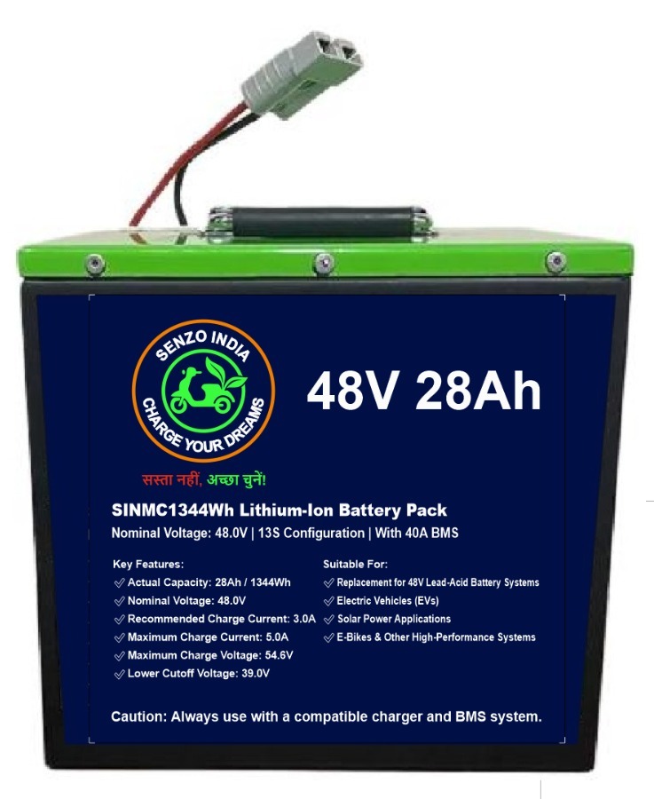 48V Battery Back